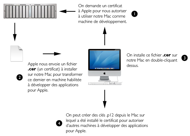 Procedure Apple Developer
